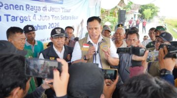 Dirut BULOG Panen Raya di Jawa Timur, Optimistis Mendukung Capaian Target 4 Juta Ton Setara Beras Tahun 2026