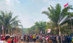 berita-pilihan-foto