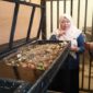 Foto 1. Warga RW 10 Kelurahan Bubulak mengamati area pengolahan sampah organik saat mengikuti kegiatan Dospulkam IPB University di School of Waste Management (SWAM), Bogor Barat, Sabtu (19/9/2026).