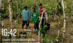 berita-pilihan-foto