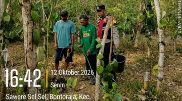 Dampak Kemarau, Bhabinkamtibmas Polres Bulukumba Bantu Warga Siram Tanaman Merica