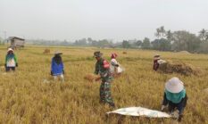 berita-pilihan-foto